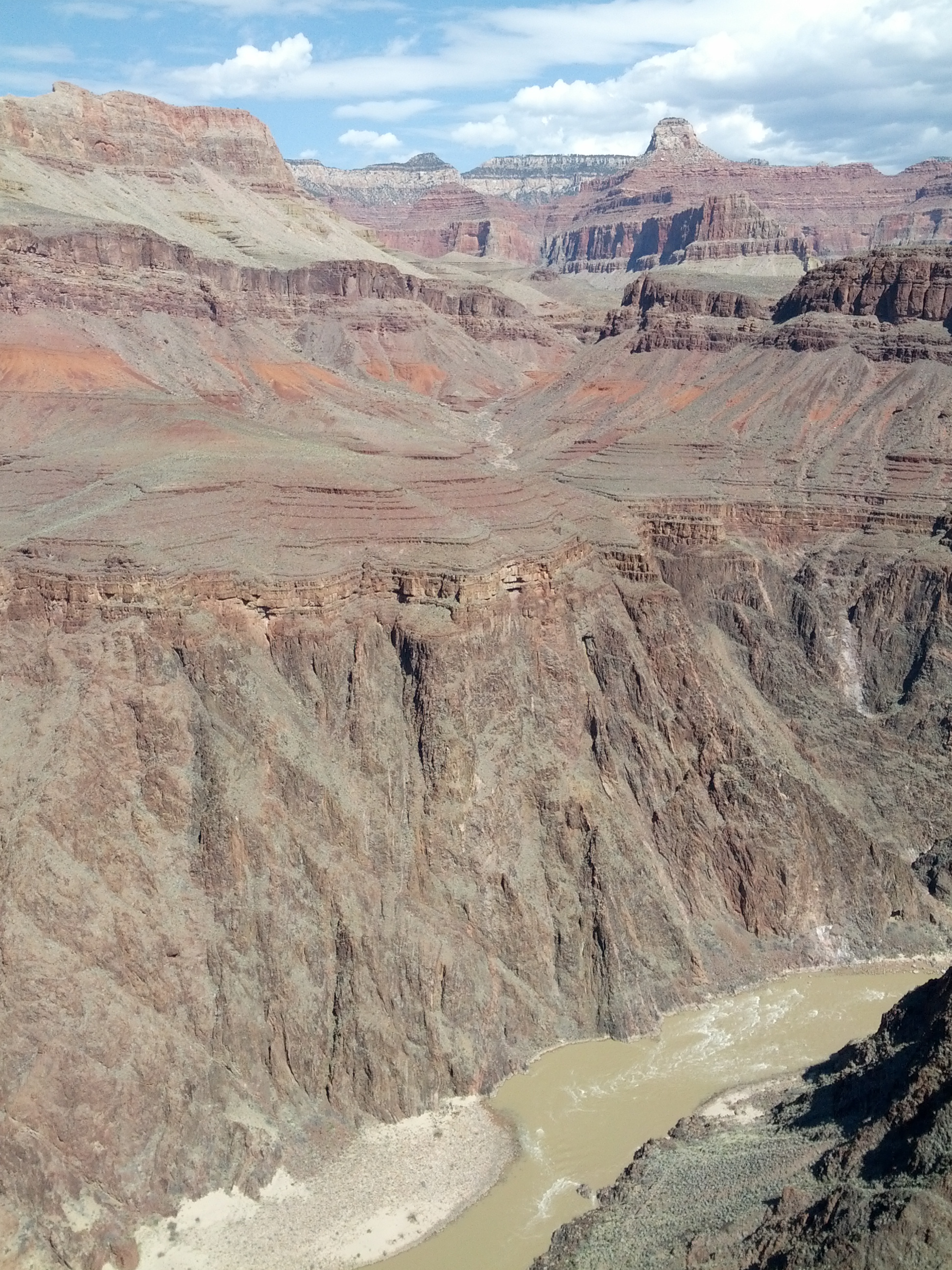 IMG_20130316_113825.jpg